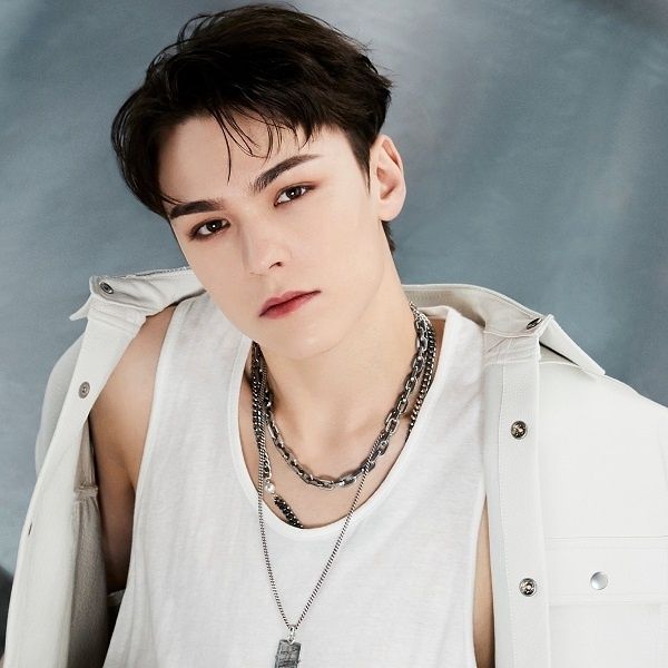 SEVENTEEN VERNON